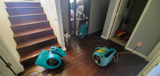 Best Sewage cleanup and water damage restoration  in Doraville, GA