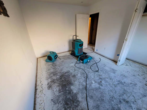 Best Flood restoration services  in Doraville, GA