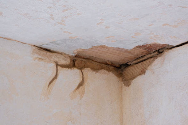 Best Water damage restoration mold remediation  in Doraville, GA