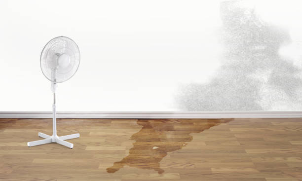 Best Professional water damage repair  in Doraville, GA