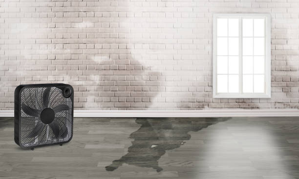 Best Sewage cleanup and water damage restoration  in Doraville, GA