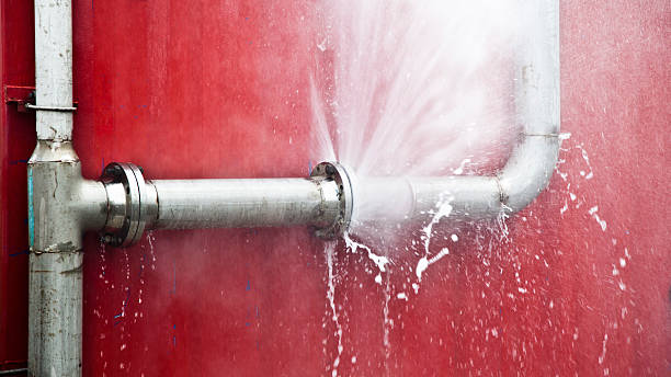 Best Carpet water damage restoration  in Doraville, GA